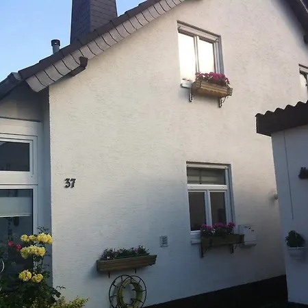 Harbusch